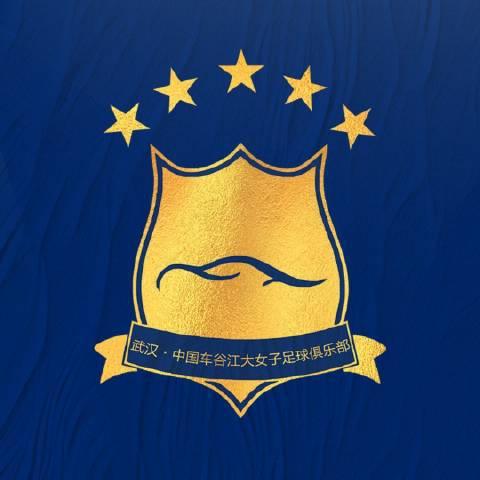 女超聯(lián)賽初季限薪限國腳，江大失優(yōu)秀隊員