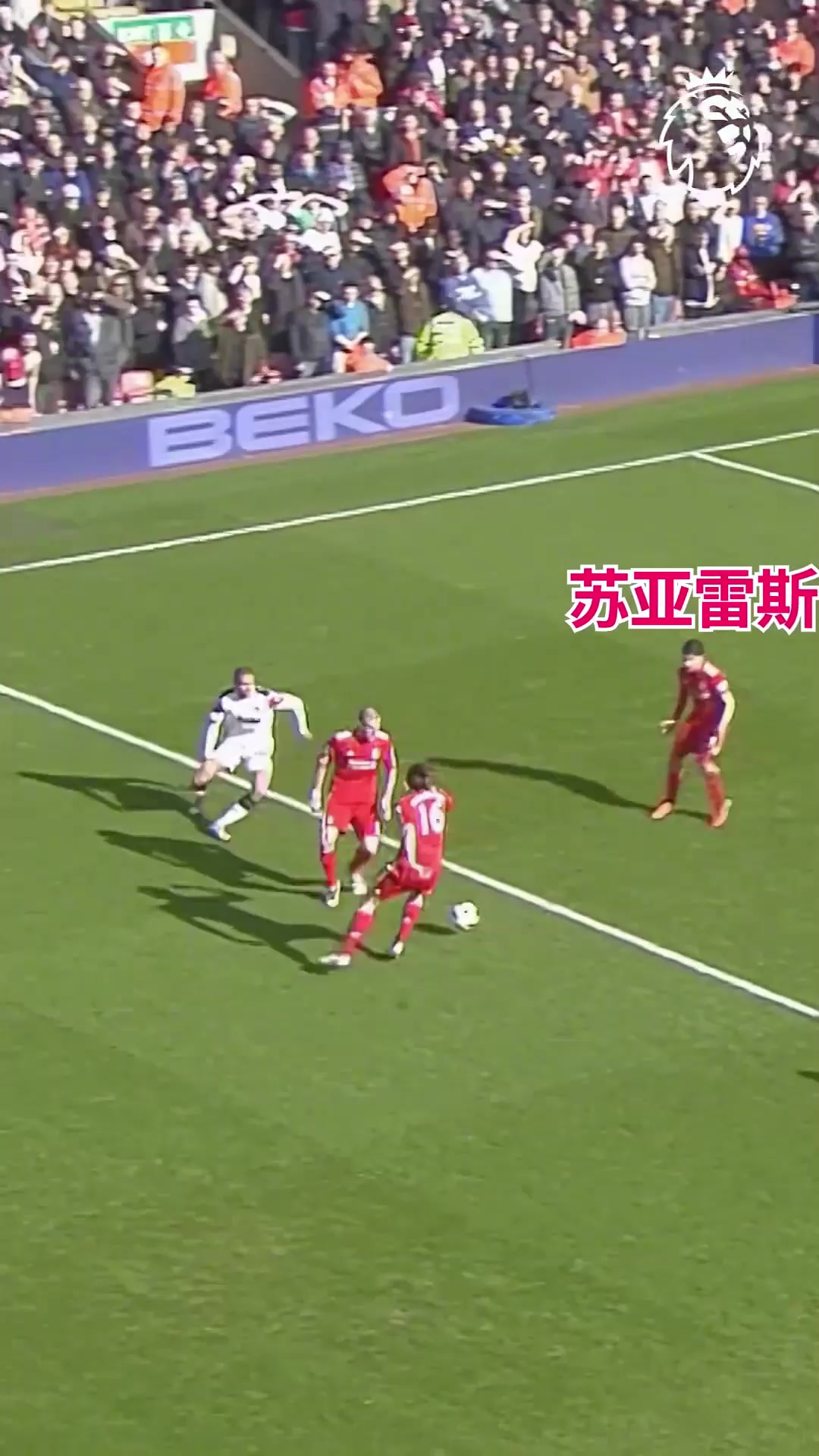 難道這就是傳說中的游龍嗎