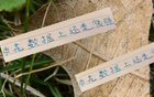 申花領(lǐng)跑榜首，進球數(shù)第一，失球倒數(shù)第二少，18輪不??！