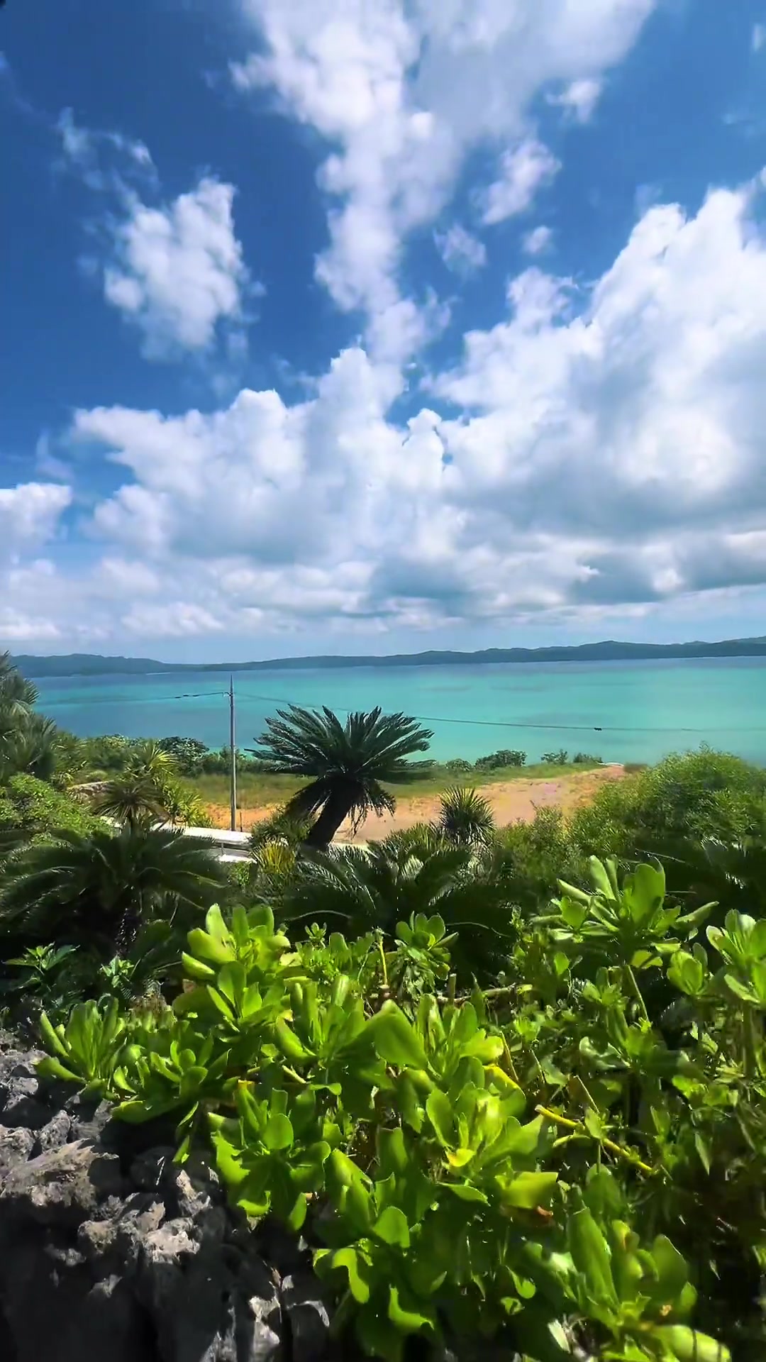 張琳芃妻子社媒發(fā)布度假視頻海底小縱隊已到達目的地