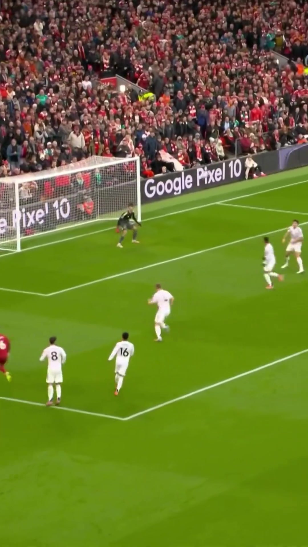 兩次首發(fā)兩場(chǎng)勝利舒梅切爾看了都想點(diǎn)個(gè)贊?