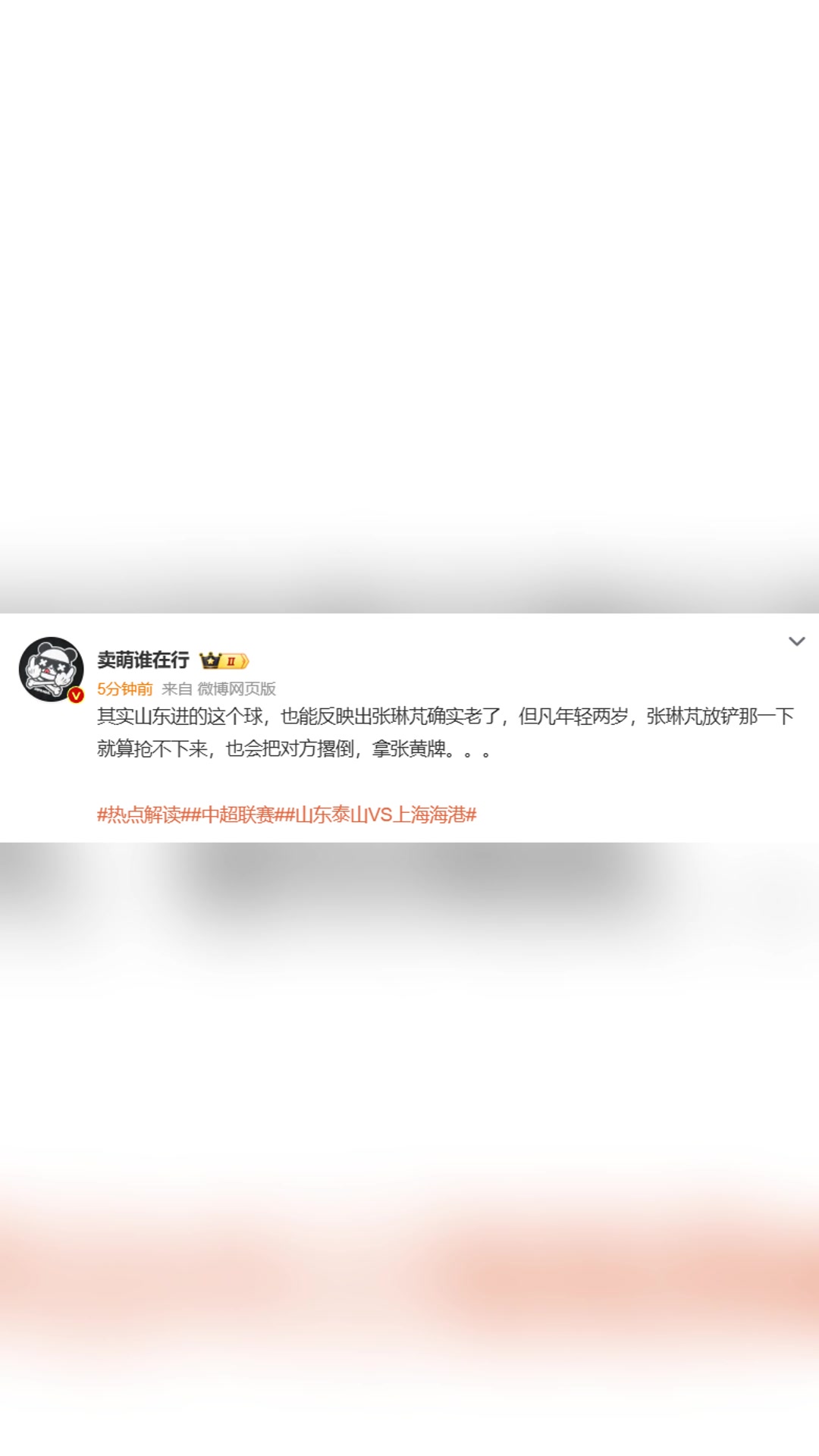 博主張琳芃確實(shí)老了但凡年輕兩歲也會(huì)把對(duì)方撂倒