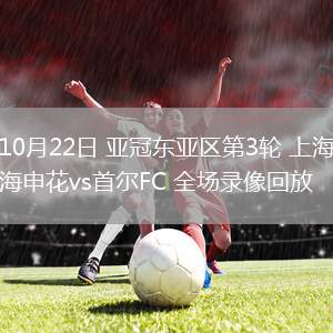 10月22日 亞冠東亞區(qū)第3輪 上海申花vs首爾FC 全場錄像回放