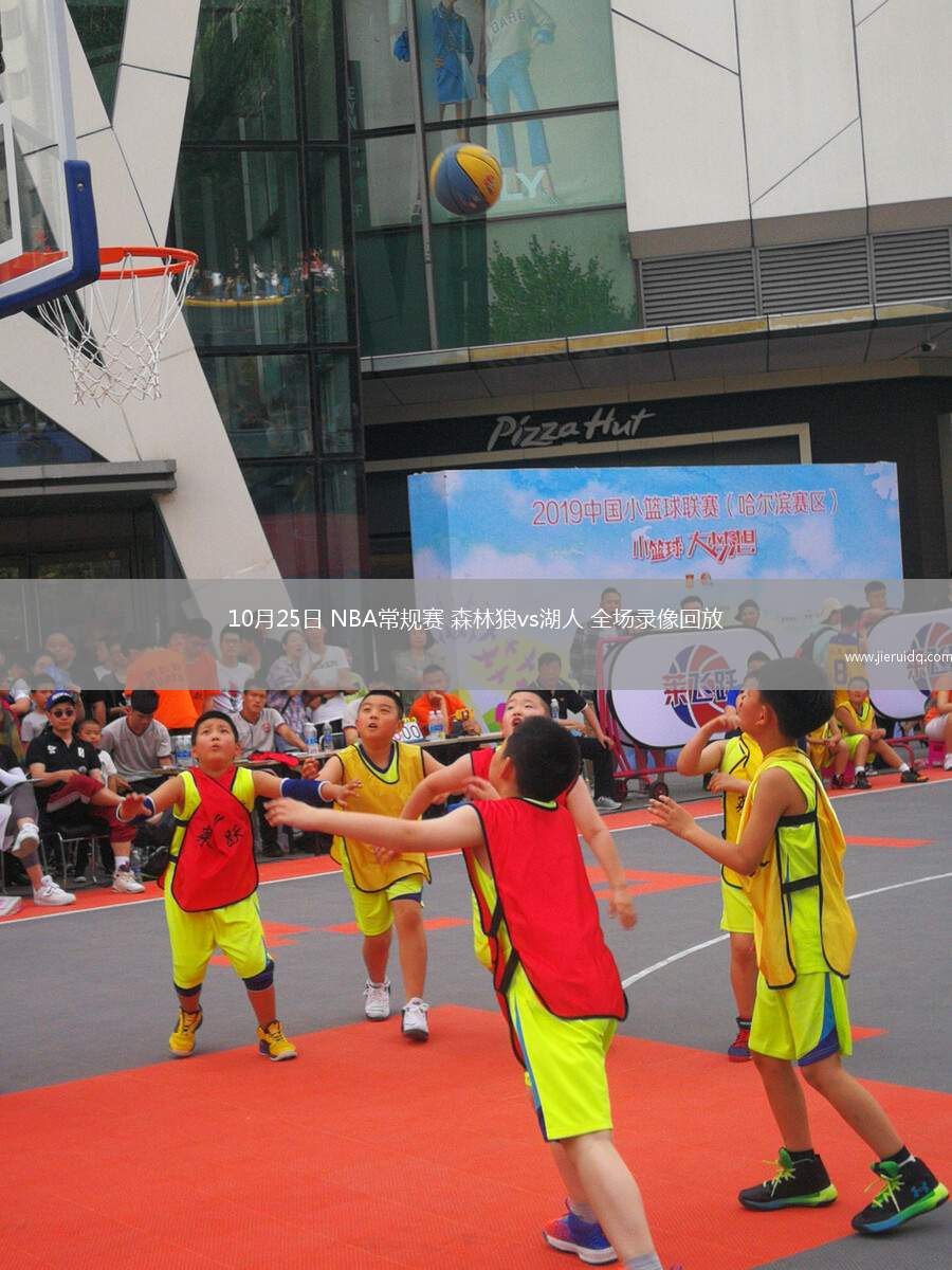 10月25日 NBA常規(guī)賽 森林狼vs湖人 全場(chǎng)錄像回放