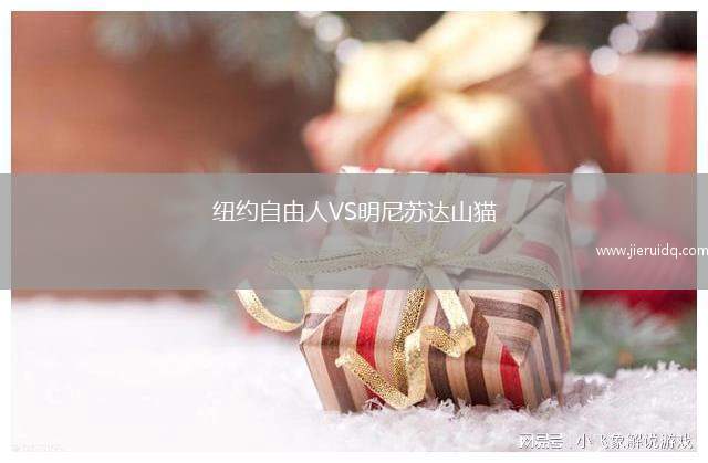 紐約自由人VS明尼蘇達(dá)山貓