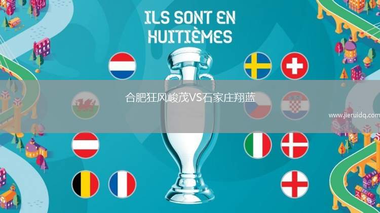 合肥狂風峻茂VS石家莊翔藍
