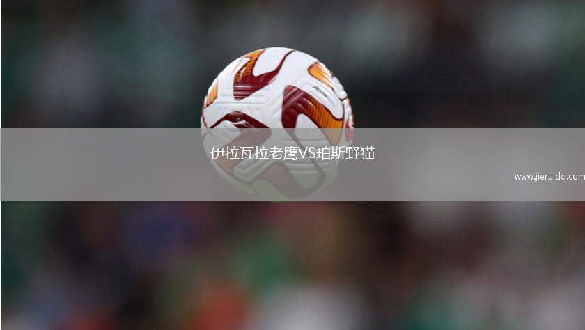 伊拉瓦拉老鷹VS珀斯野貓