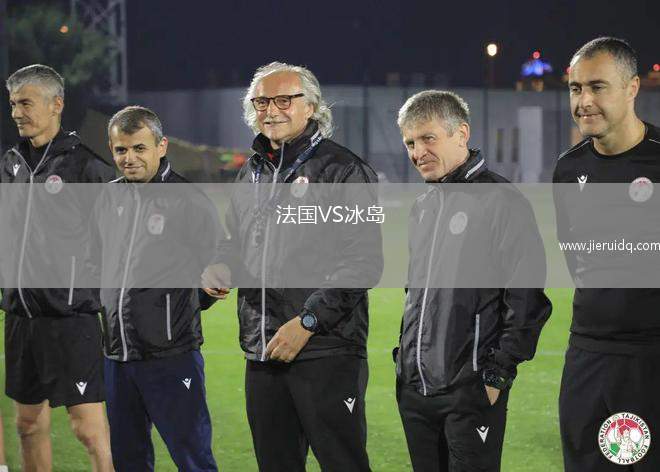 法國VS冰島