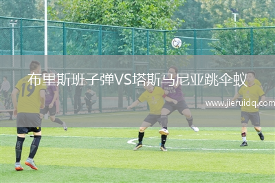 布里斯班子彈VS塔斯馬尼亞跳傘蟻