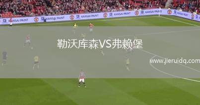 勒沃庫森VS弗賴堡