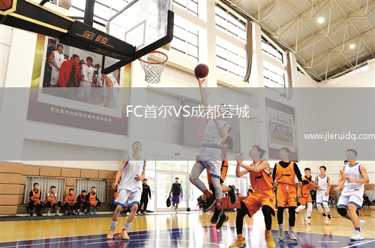 FC首爾VS成都蓉城