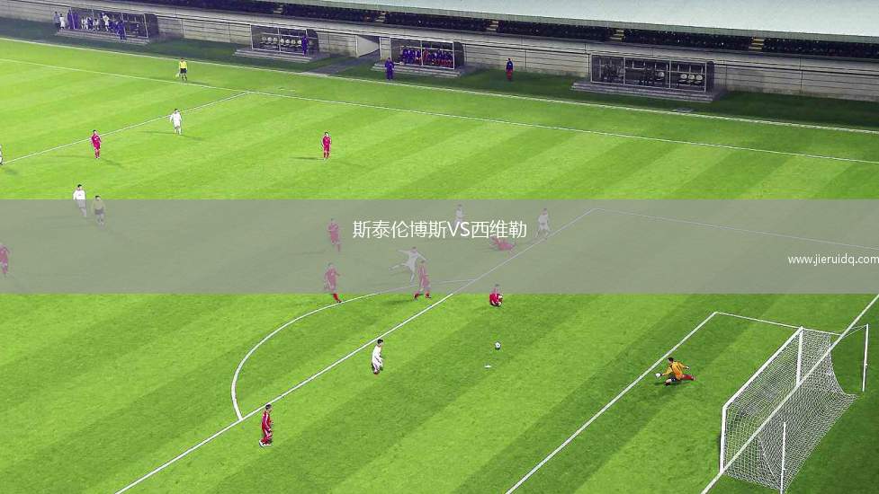 斯泰倫博斯VS西維勒